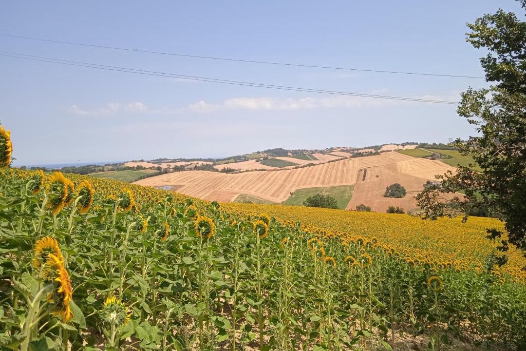 Photo of Others in Bettolelle