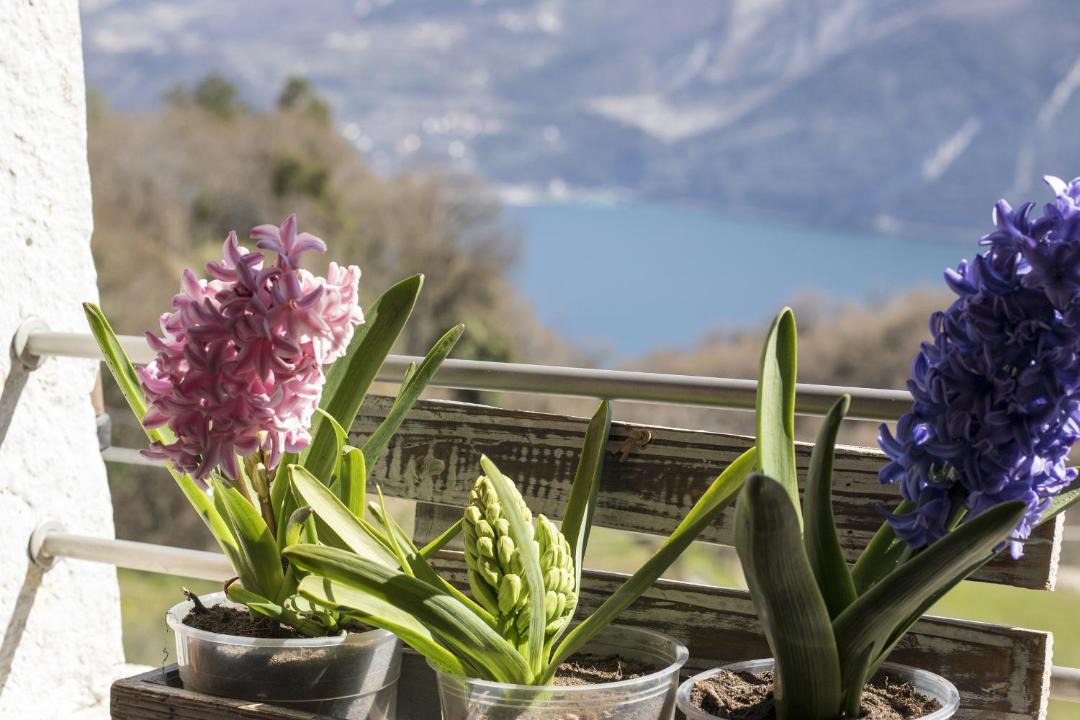 Photo of Patio Balcony in Pregasina