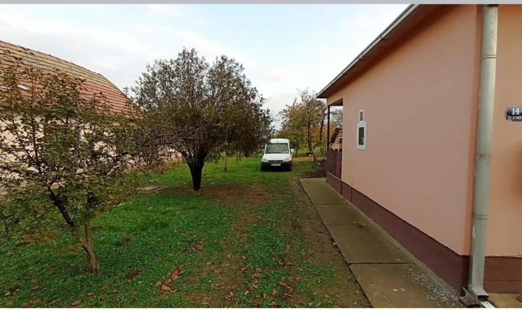 Photo of Others in Vojvodina