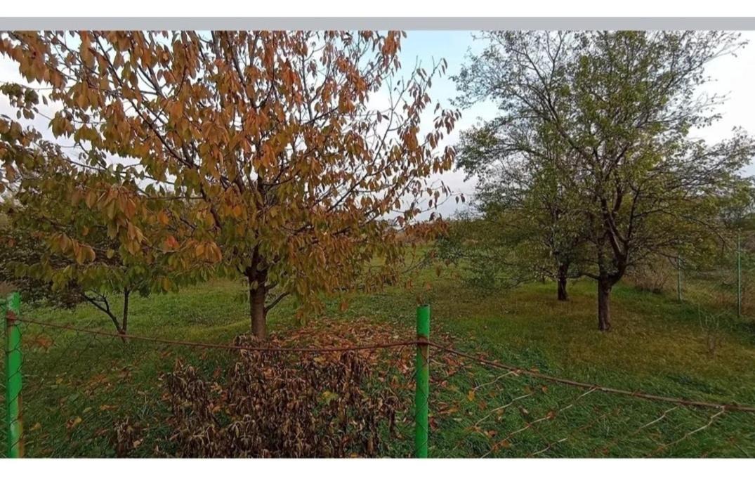 Photo of Others in Vojvodina