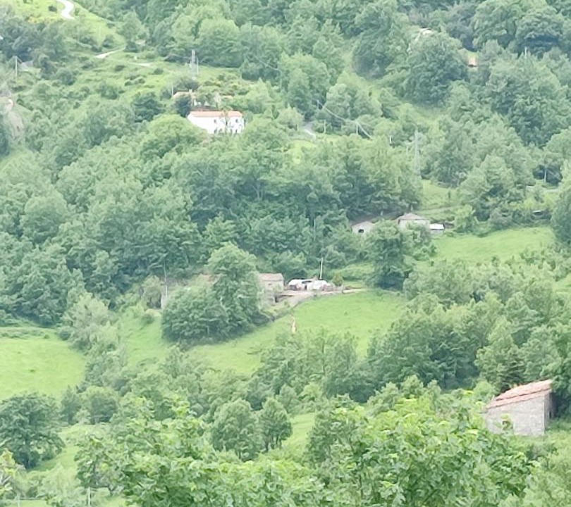 Photo of Others in Terranova di Pollino