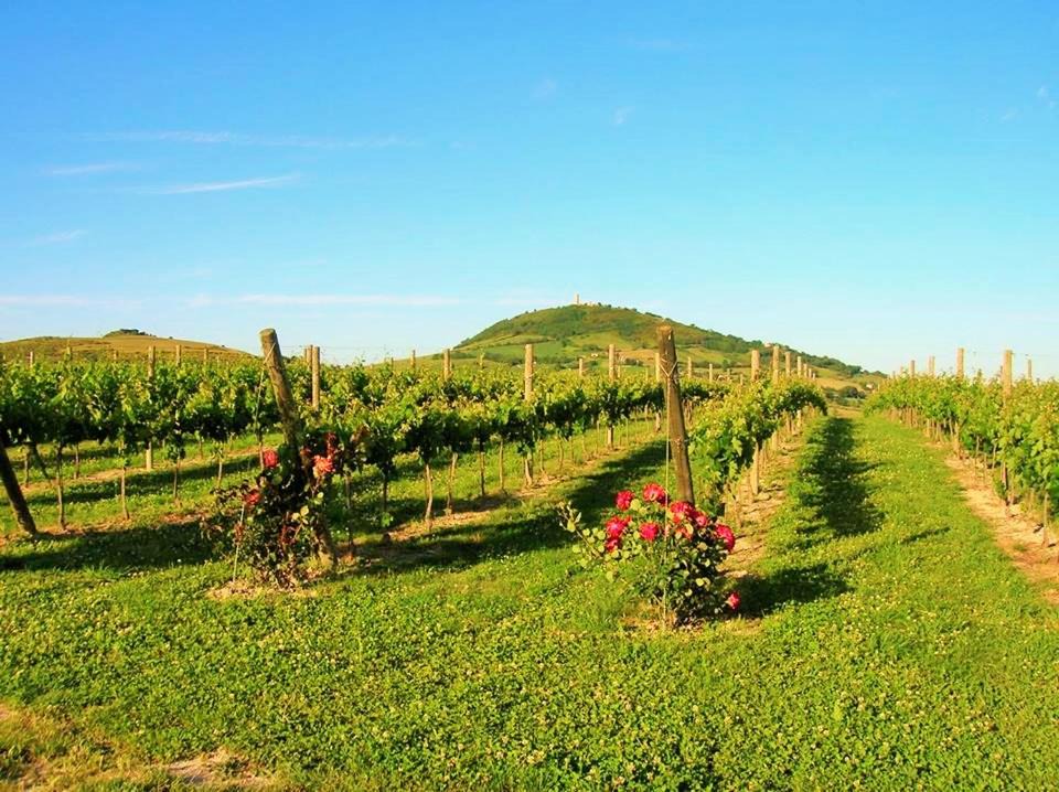 Photo of Others in San Severino Marche