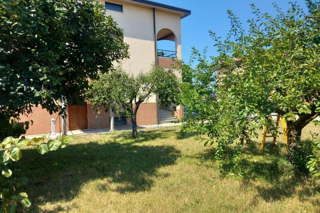 Photo of Others in Cologno al Serio