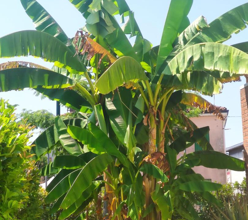 Photo of Outdoor in Falze