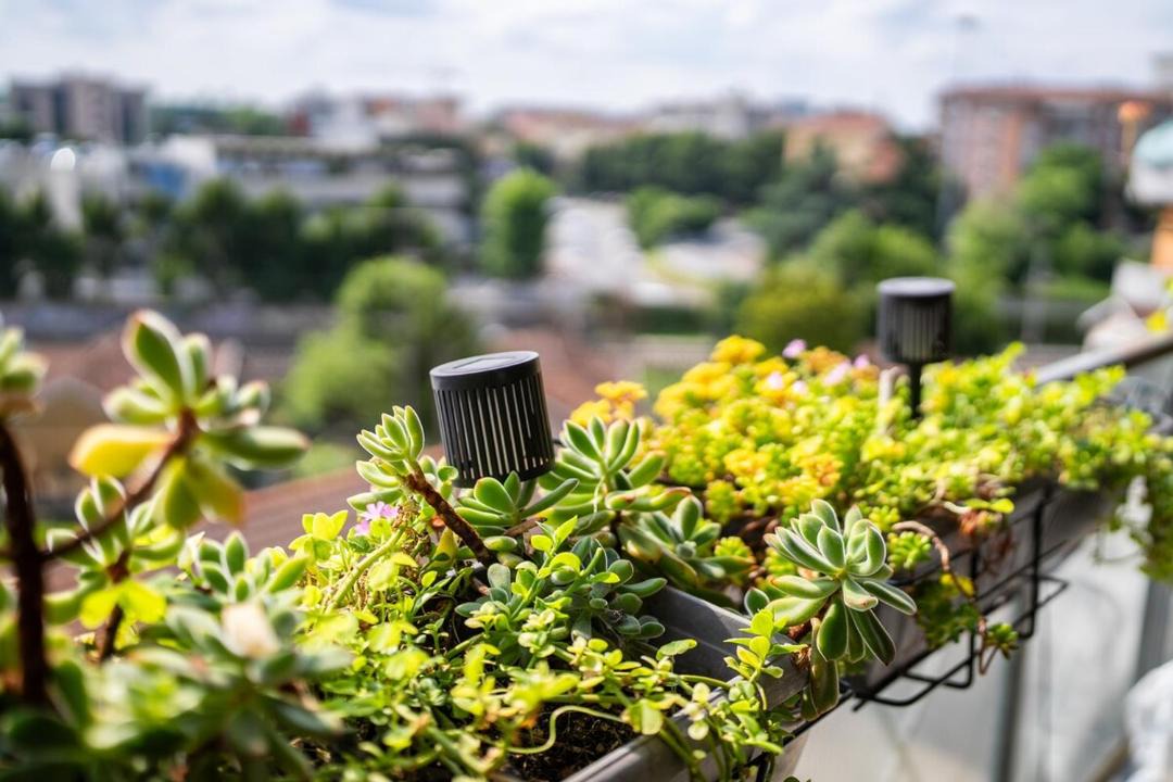 Photo of Patio Balcony in Isola del Bosco - Delle Corti