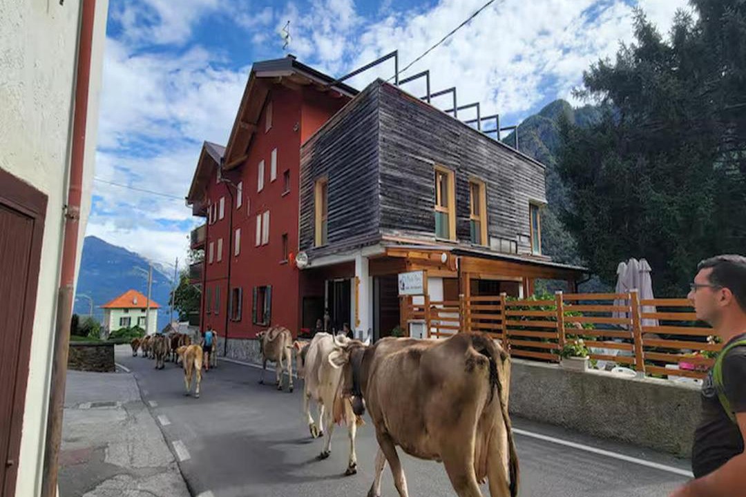 Photo of Others in Pedesina