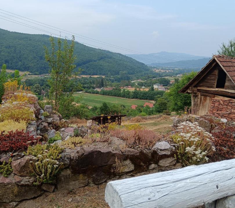 Photo of Others in Beserovina