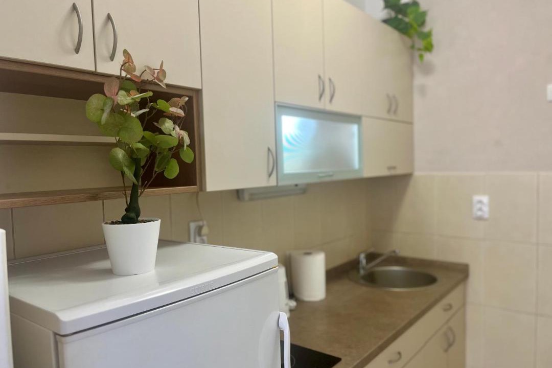 Photo of Kitchen in Grbavica