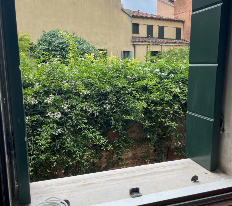 Photo of Others in Castello