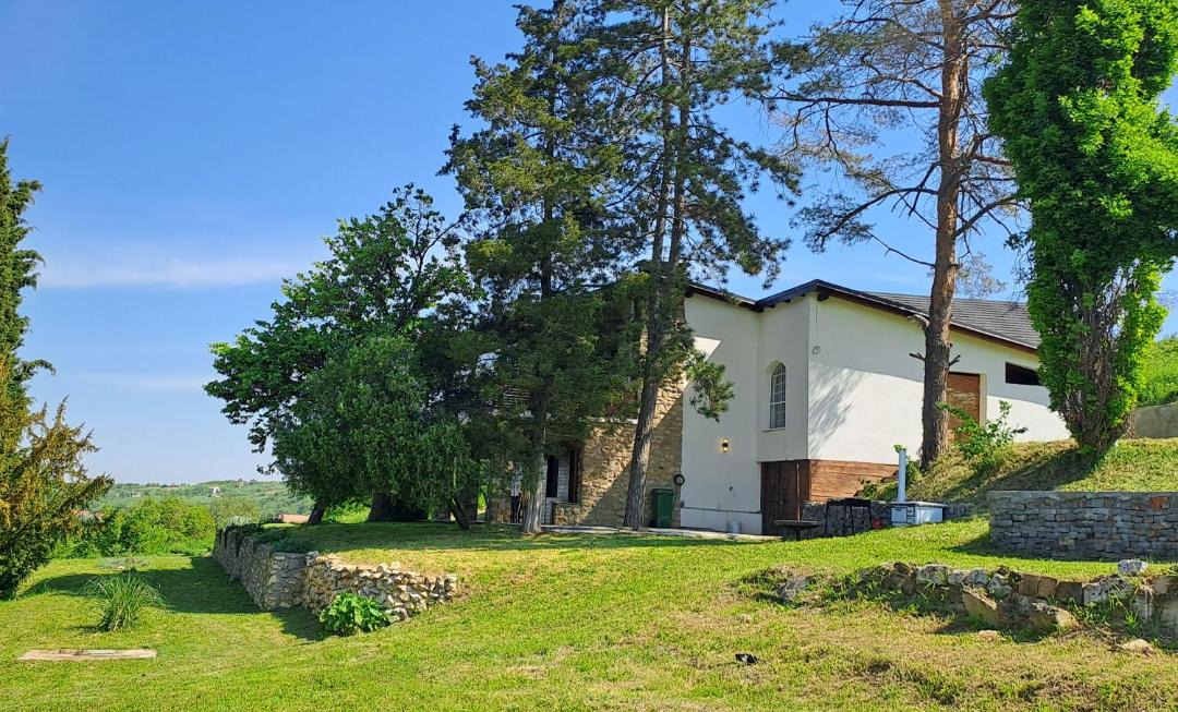 Photo of Others in Sremski Karlovci