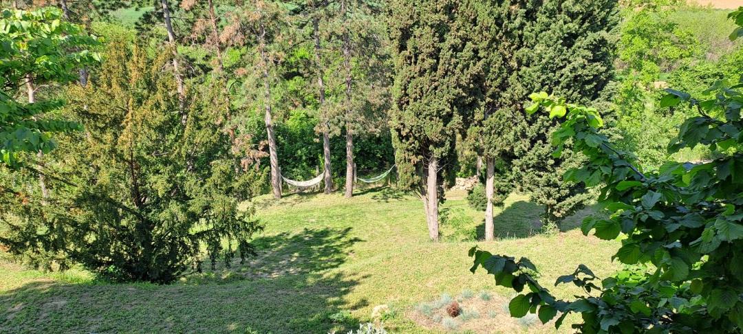 Photo of Others in Sremski Karlovci