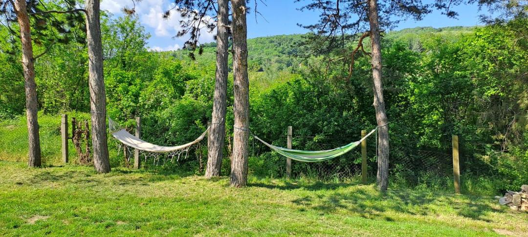 Photo of Outdoor in Sremski Karlovci