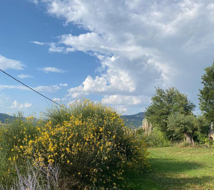 Photo of Others in Acquapendente