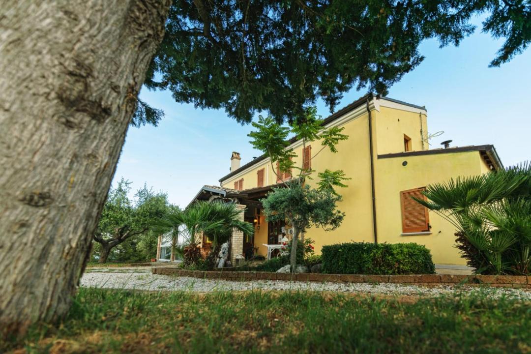 Photo of Others in Cupra Marittima