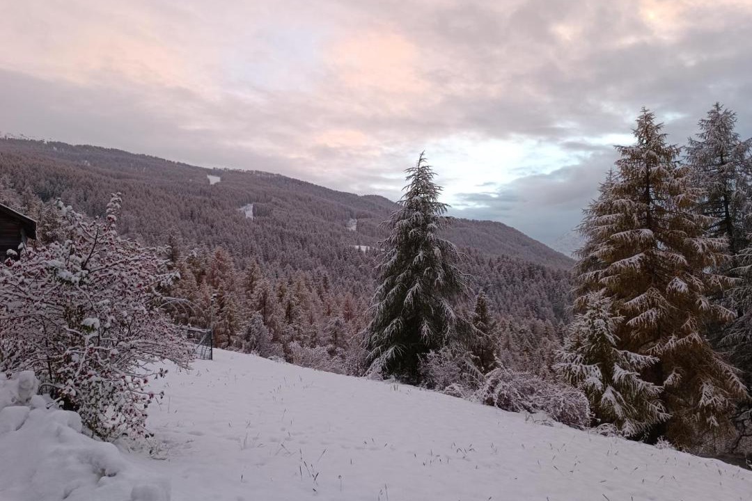 Photo of Others in Sauze d'Oulx