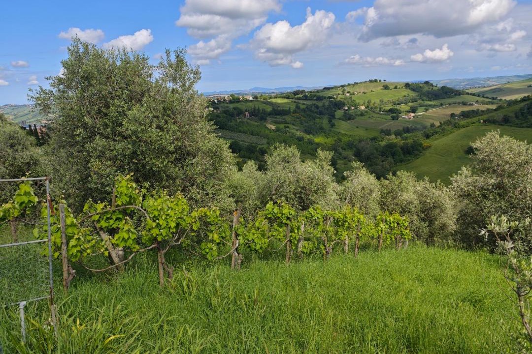 Photo of Others in Montecarotto
