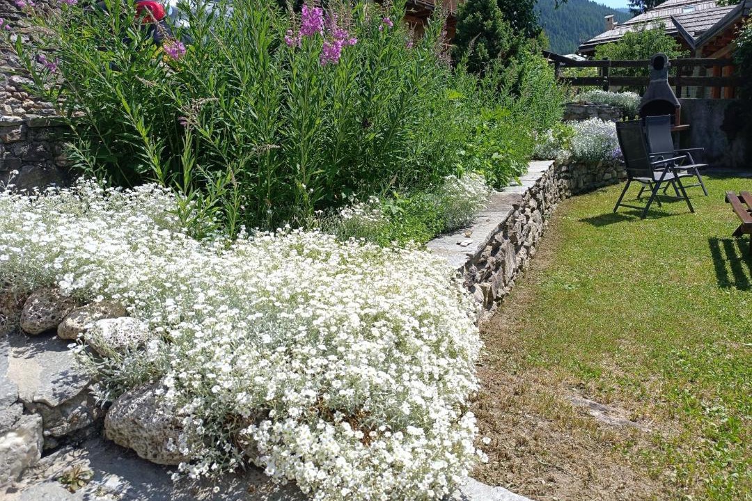 Photo of Others in Sauze d'Oulx