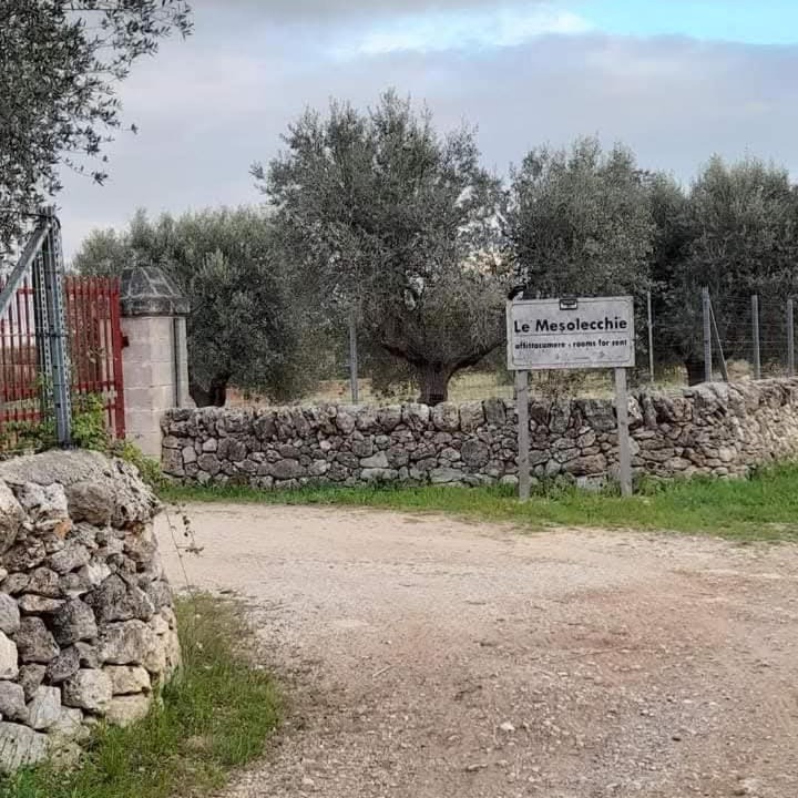 Photo of Others in Crispiano