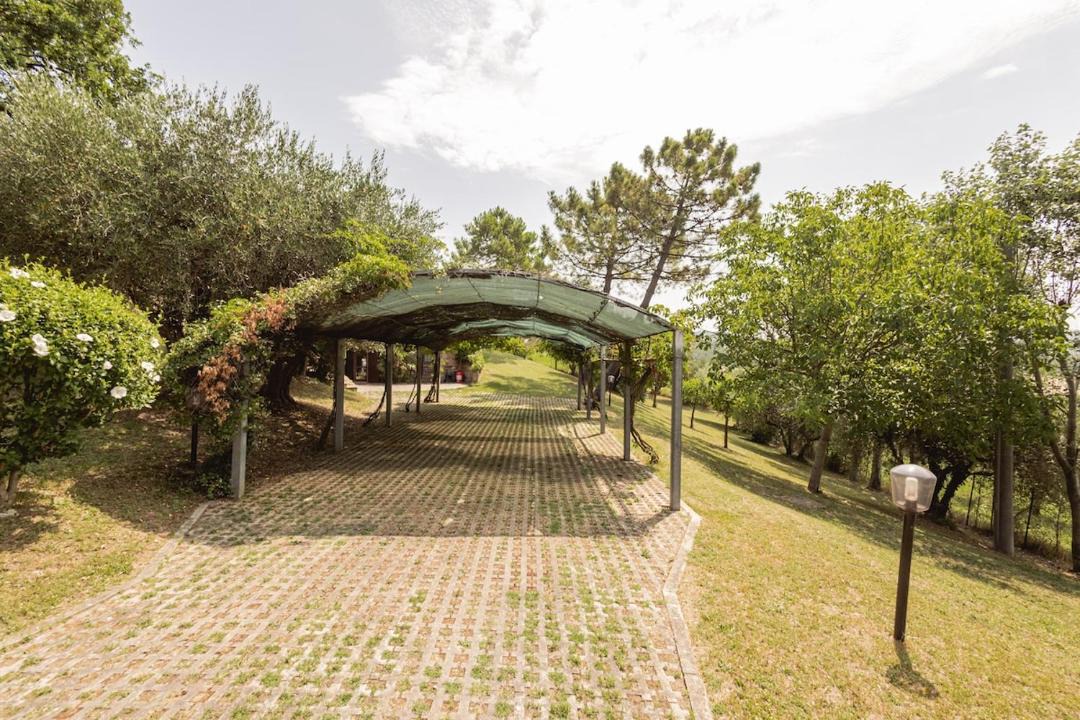 Photo of Others in Gabicce Mare