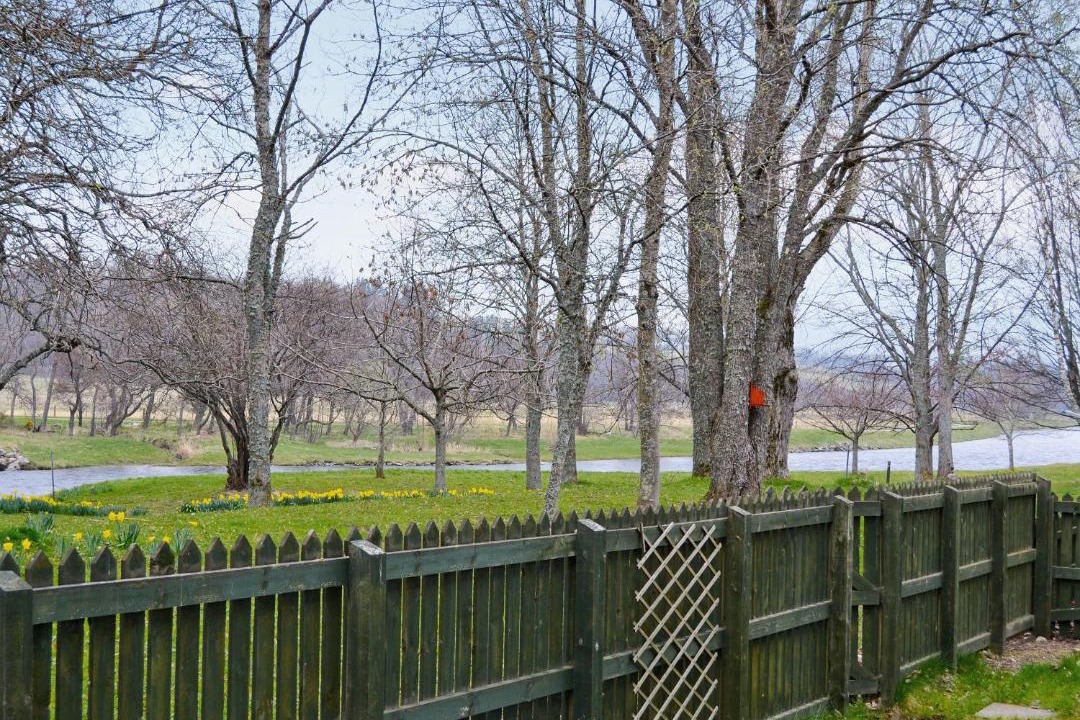 Photo of Others in Aberlour