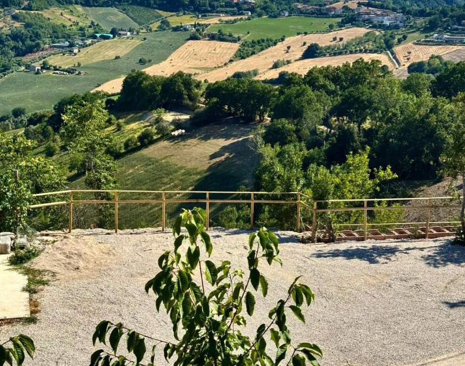 Photo of Others in Petritoli