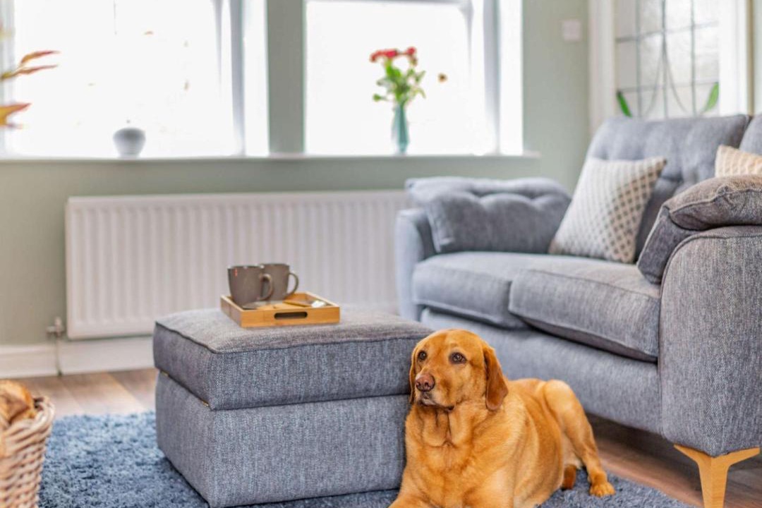 Photo of Livingroom in Rothbury