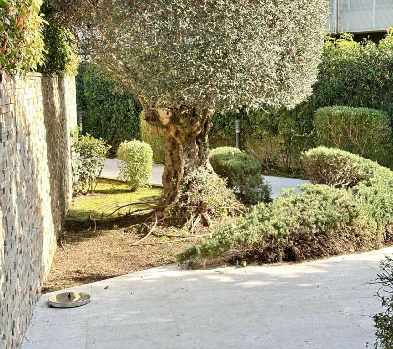 Photo of Others in Rome Province