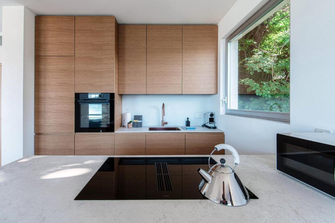 Photo of Kitchen in Minusio