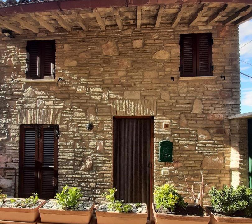 Photo of Others in Assisi