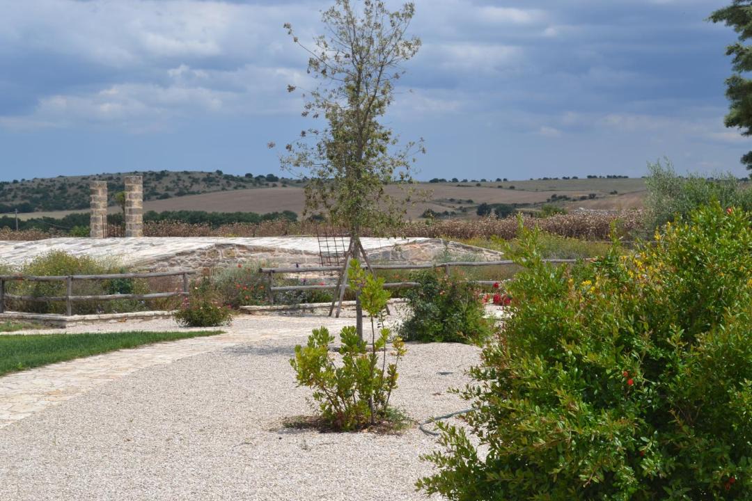 Photo of Others in Montegrosso