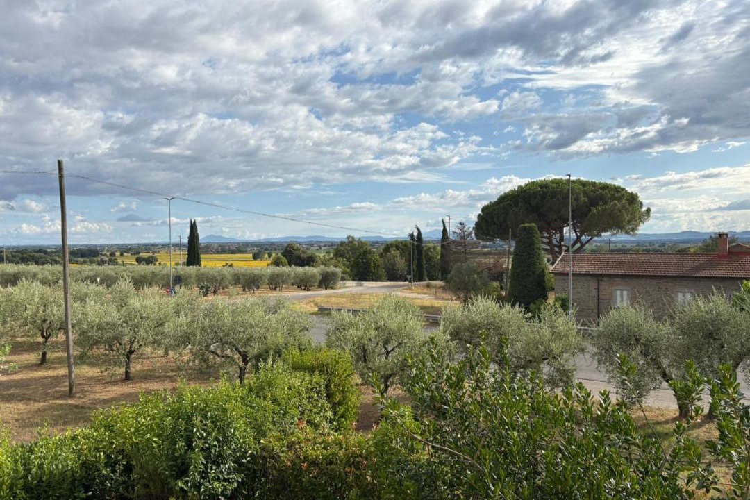 Photo of Others in Montecchio