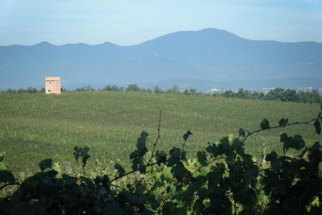 Photo of Outdoor in Montecalvoli
