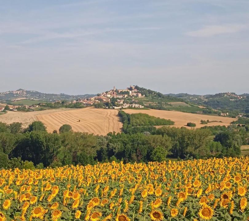 Photo of Others in Montiglio Monferrato