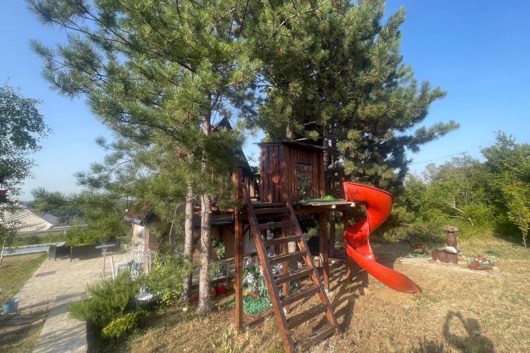 Photo of Others in Sremski Karlovci
