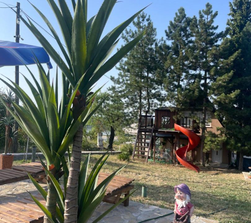 Photo of Outdoor in Sremski Karlovci