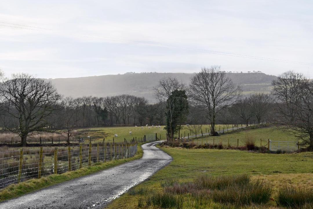 Photo of Others in Margam