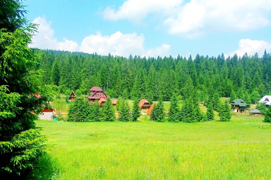 Photo of Others in Tara National Park
