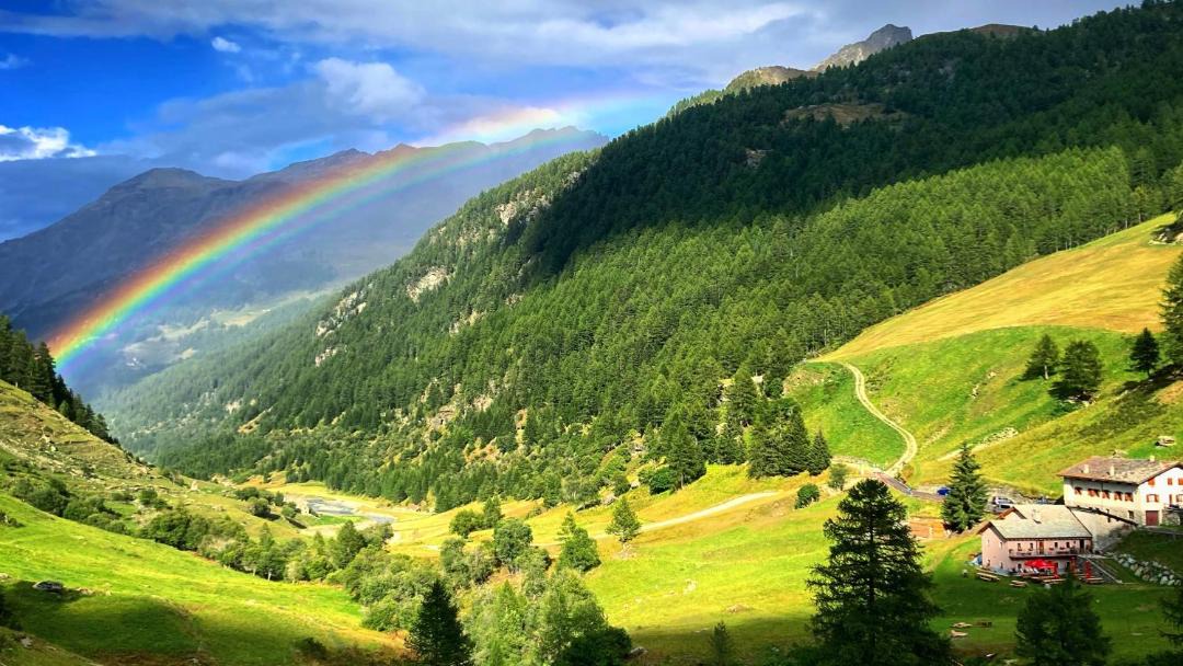 Photo of Others in Valgrisenche
