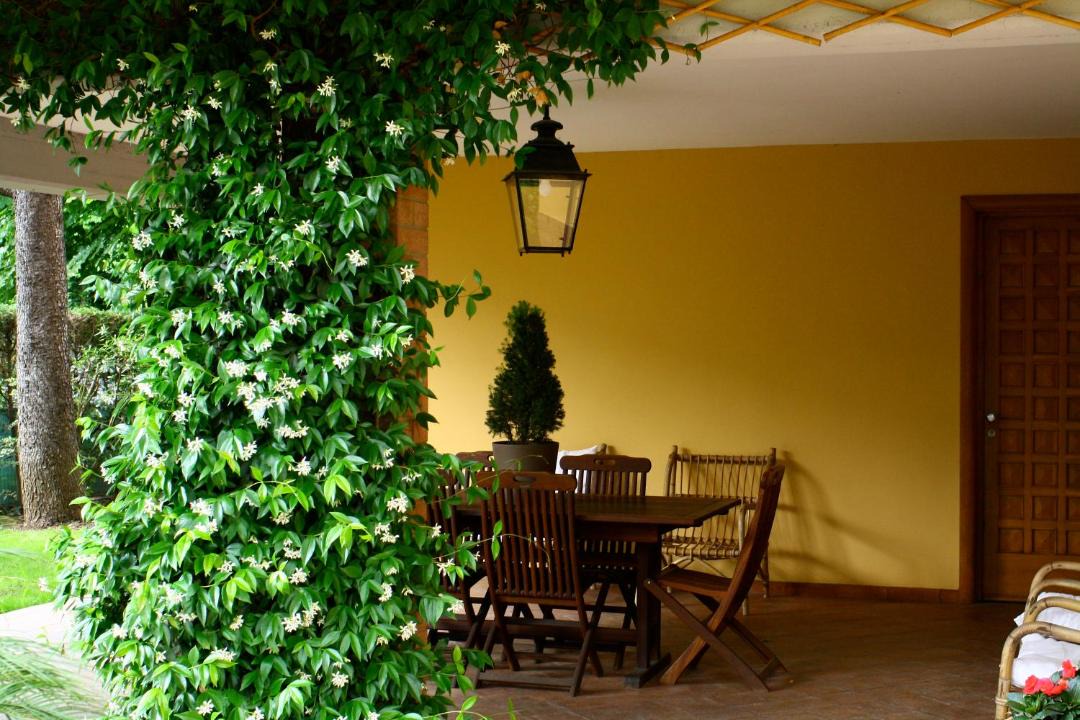 Photo of Others in San Faustino-Madonnina-Quattroville