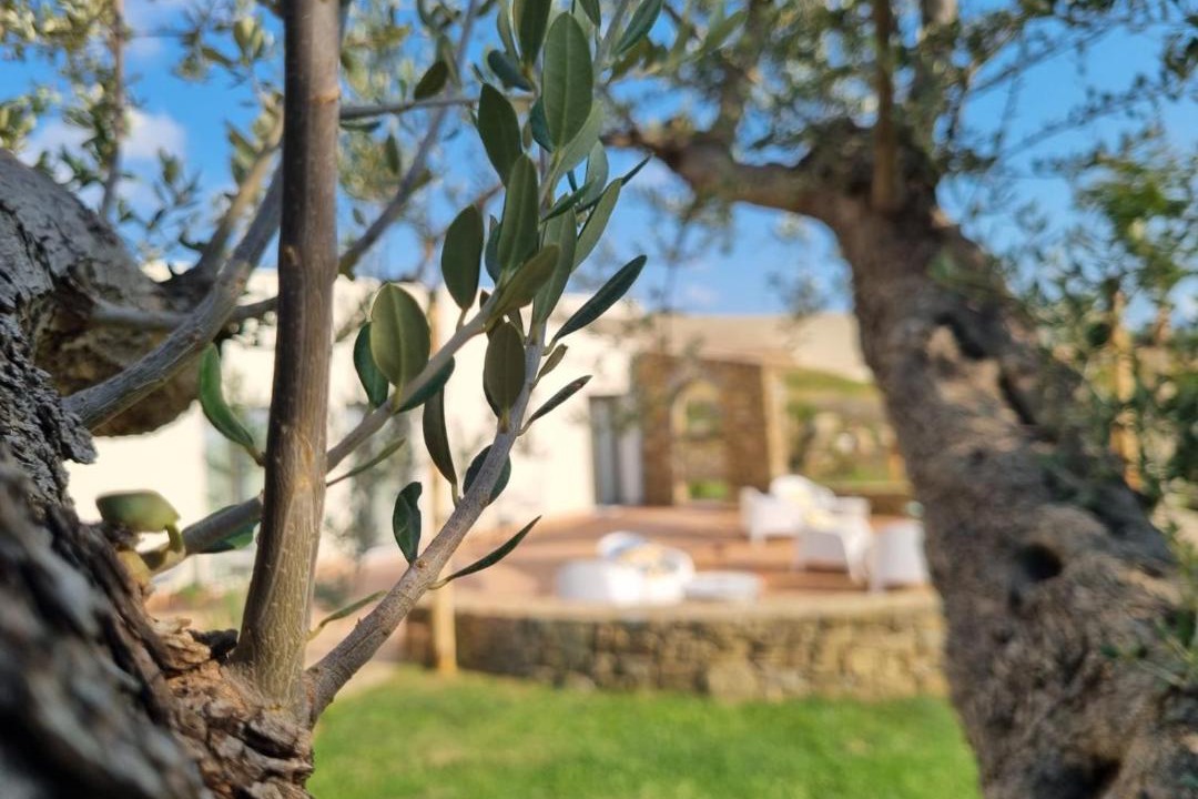 Photo of Others in Capaccio-Paestum