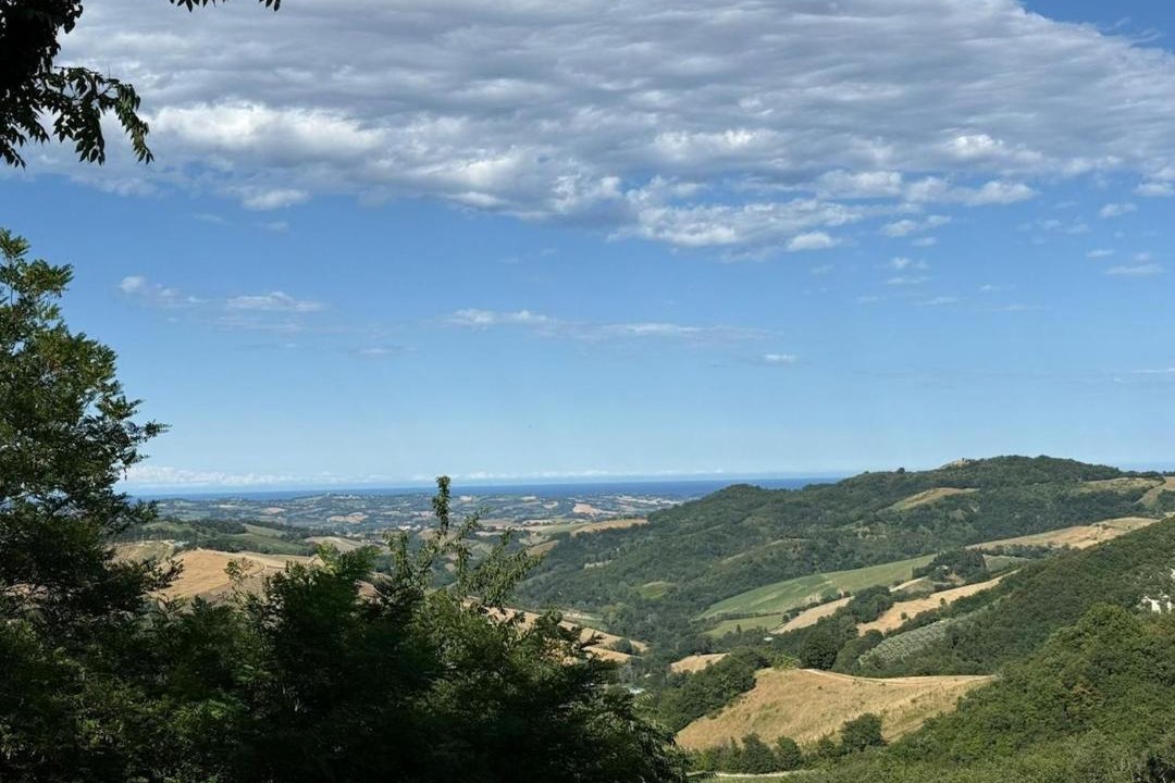 Photo of Others in Monteciccardo