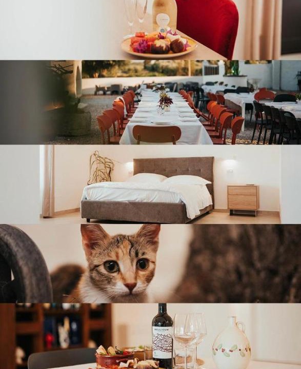 Photo of Others in Crispiano