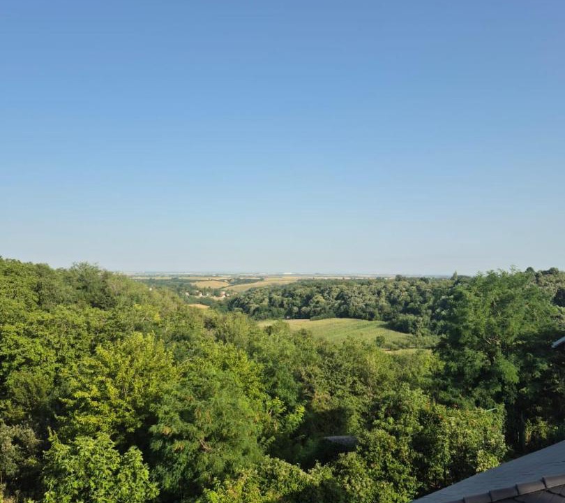 Photo of Others in Petrovaradin