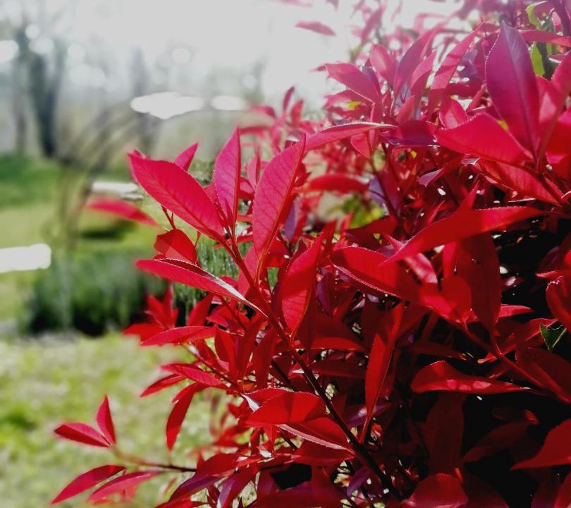 Photo of Outdoor in Poggio San Marcello
