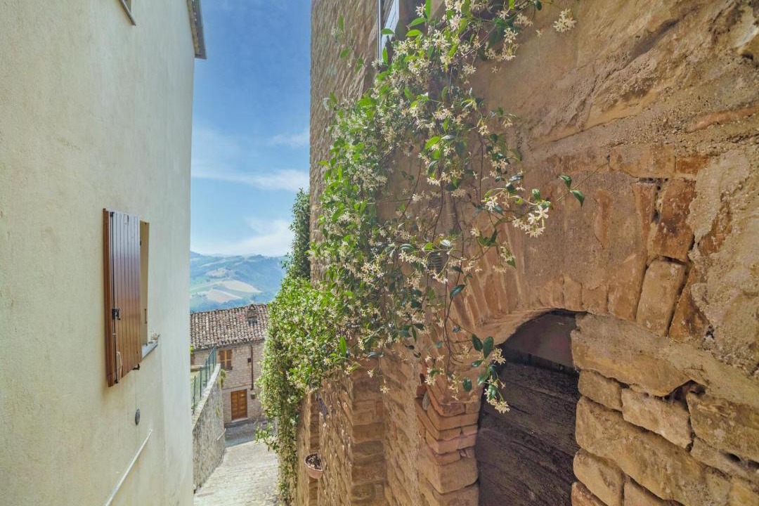 Photo of Others in Monte San Martino