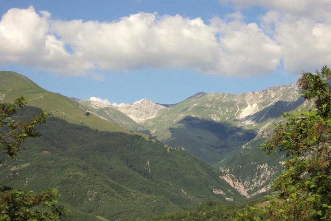 Photo of Others in Montemonaco
