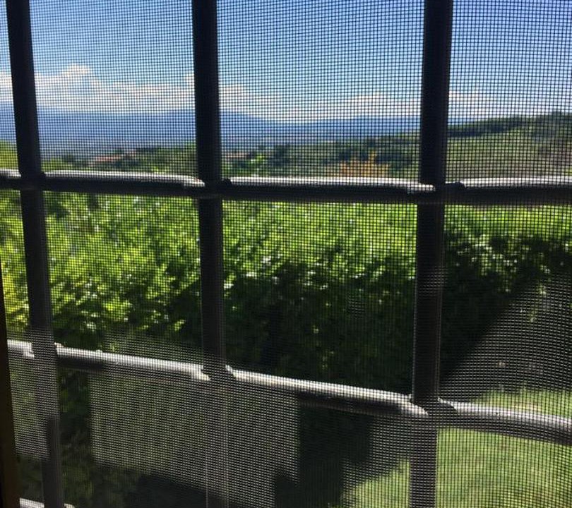 Photo of Others in Montefalco