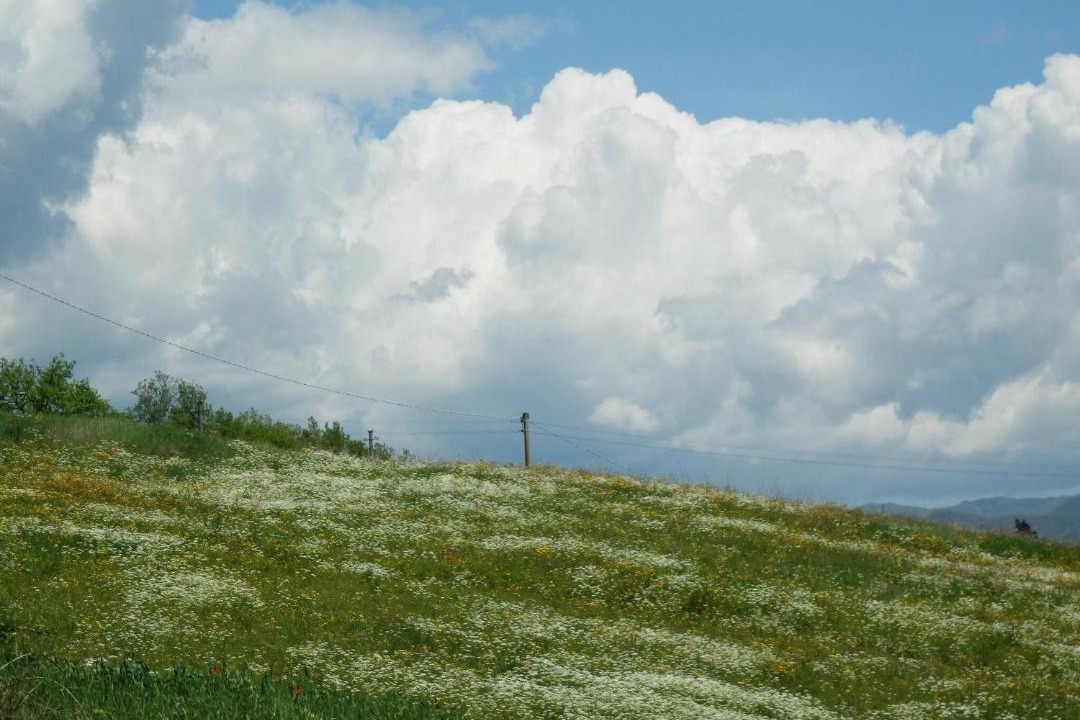 Photo of Others in Ortignano Raggiolo