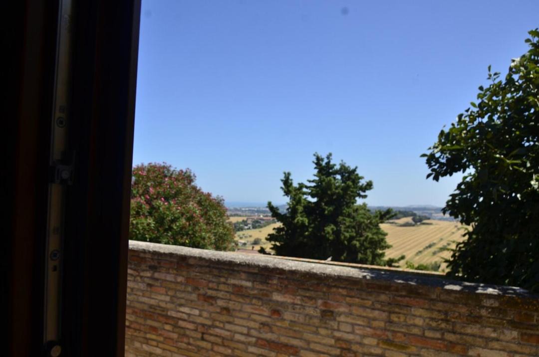 Photo of Others in Civitanova Alta