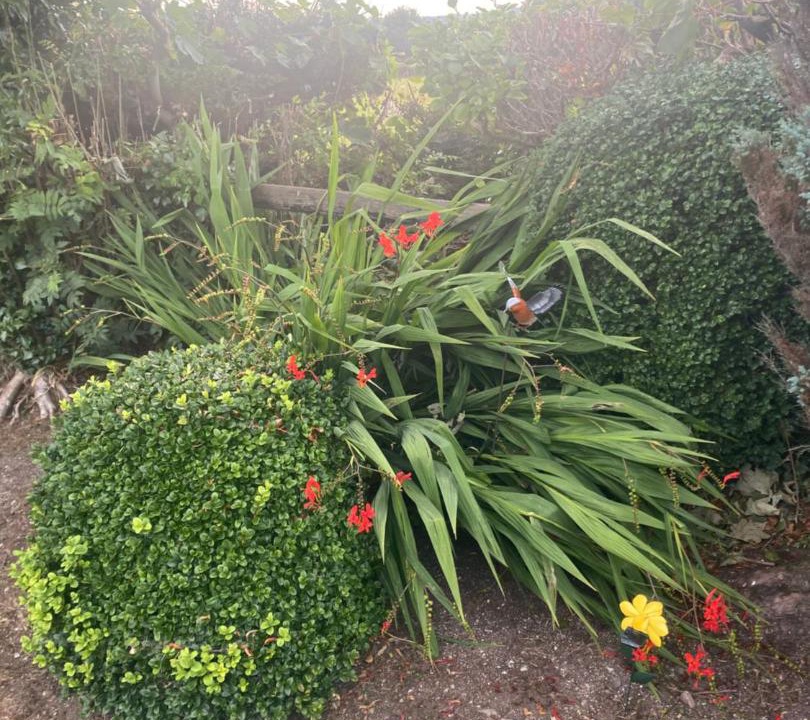 Photo of Outdoor in Newry